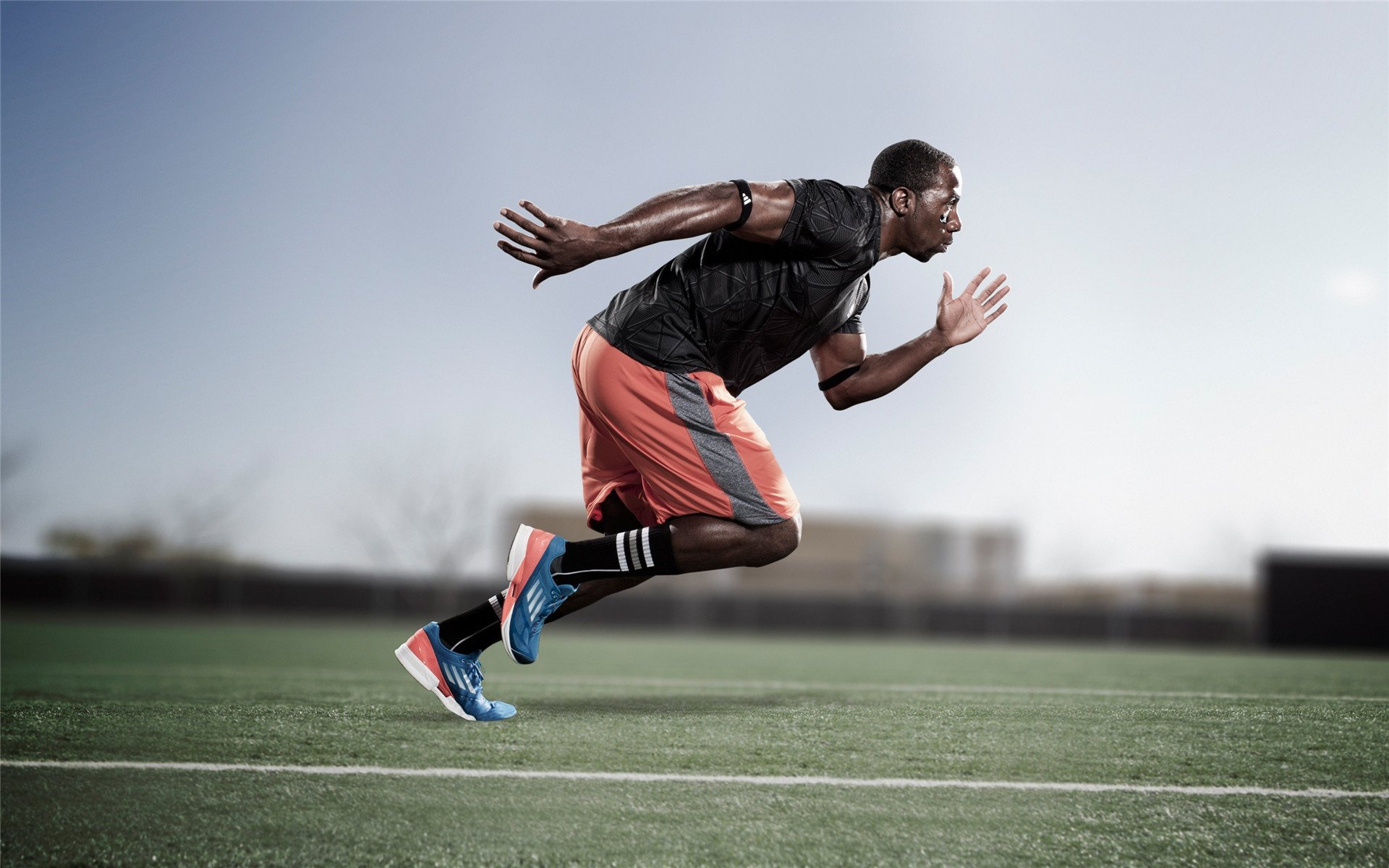 传统武术比赛：文化传承的体育展演，传统武术大赛